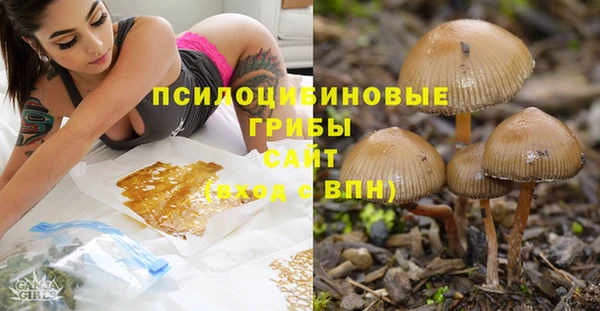 шишки Алзамай