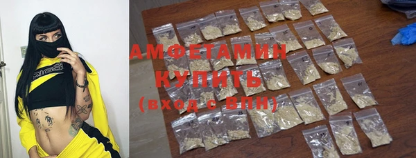 шишки Алзамай