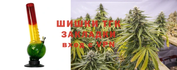 шишки Алзамай