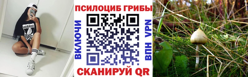 Псилоцибиновые грибы прущие грибы  Нижний Ломов 